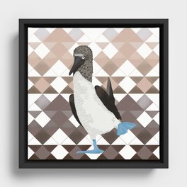 Adorable blue-footed booby bird on a ombre pattern background - animal graphic design Framed Canvas