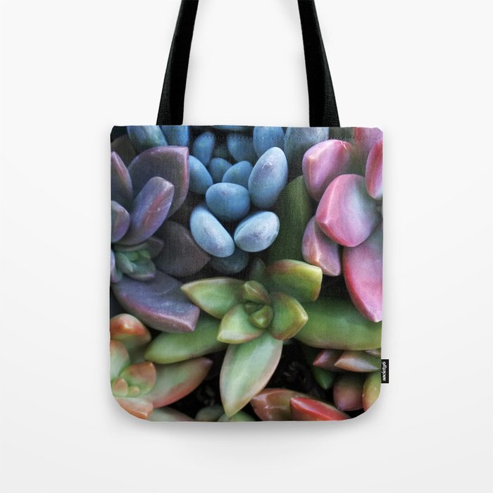 Colorful Succulents Tote Bag