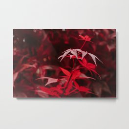 There are many ways to the recognition of truth, and Burgundy is one of them. Metal Print