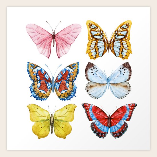 Butterflies 01 Art Print