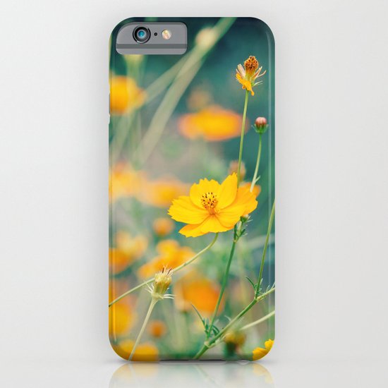 Orange Cosmos iPhone & iPod Case