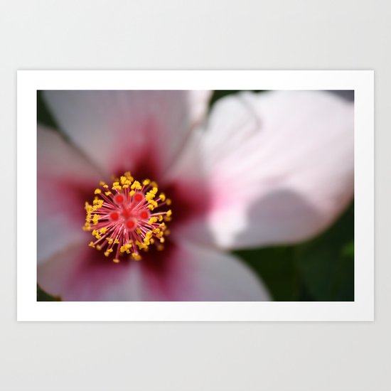 Turkish Flower Art Print