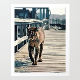 Panther Casually Walking on a California Pier Art Print