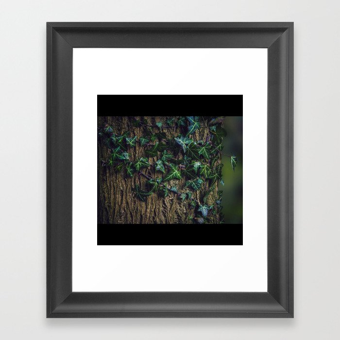 Ivy on the tree Framed Art Print