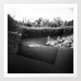 Dreaming in a Garden in France - Holga photograph Art Print