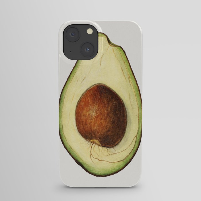 Vintage avocado illustration.1 iPhone Case