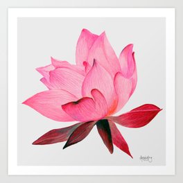 Pink Lotus Flower Art Print