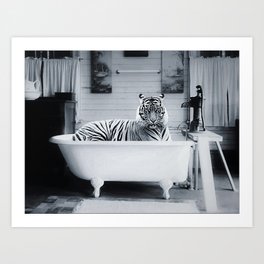 Eye of the Tiger in a vintage claw foot rustic bathtub black and white photograph / photograhy Art Print