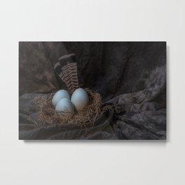 Grouse Feathers and Eggs Still Life Metal Print | Diningroomart, Easter, Feathers, Backdrop, Eastereggers, Stagedeggs, Trioofeggs, Kitchenart, Eggs, Nested 