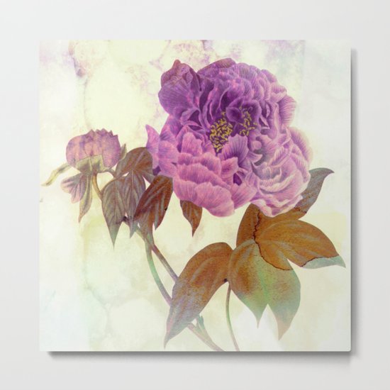 purple peony Metal Print