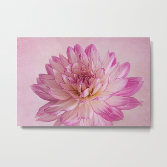 Pretty in Pink Metal Print