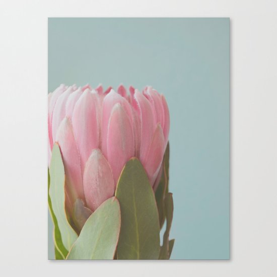 Pink Flower Canvas Print