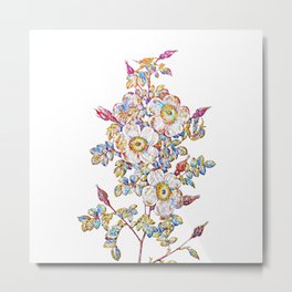 Floral Thornless Burnet Rose Mosaic on White Metal Print