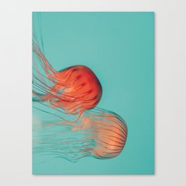 Jellyfish Dance Canvas Print