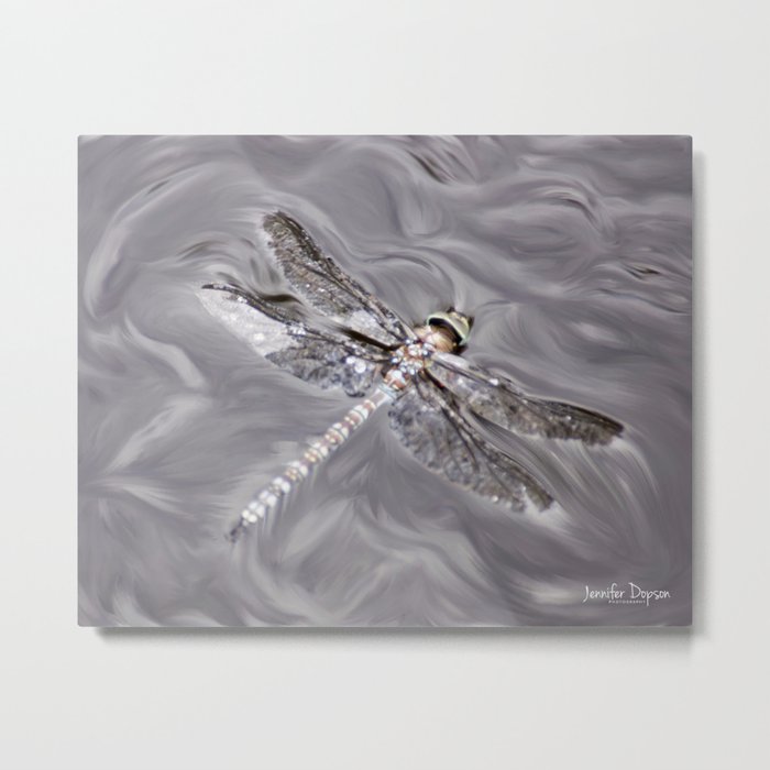 Dragonfly Metal Print