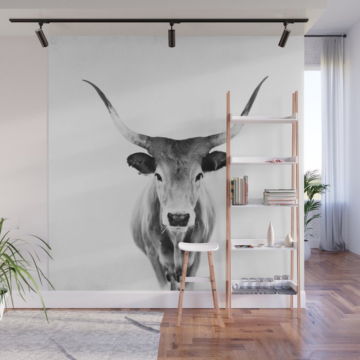 Wild Longhorn Cow Print - Black White Cow Portrait - Animal - Travel photograpy Wall Mural
