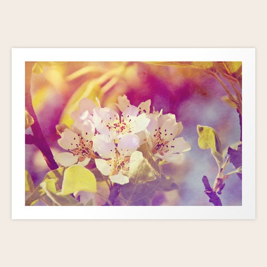 APPLE BLOSSOMS Art Print