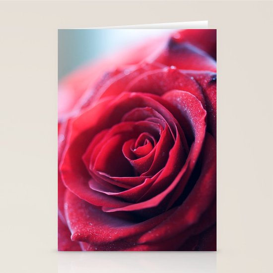Crush Stationery Cards
