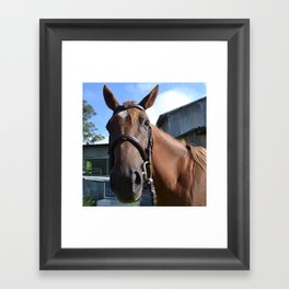 Funny Horse Framed Art Print