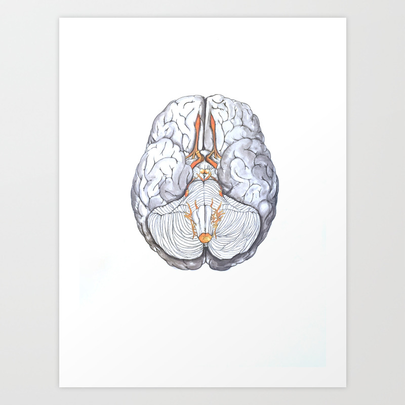 Brain Watercolor Art Print By Themedicalmentors Society6,Short Hair Realistic Boy Hair Drawing