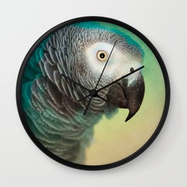 Pictorial African Gray Parrot Wall Clock