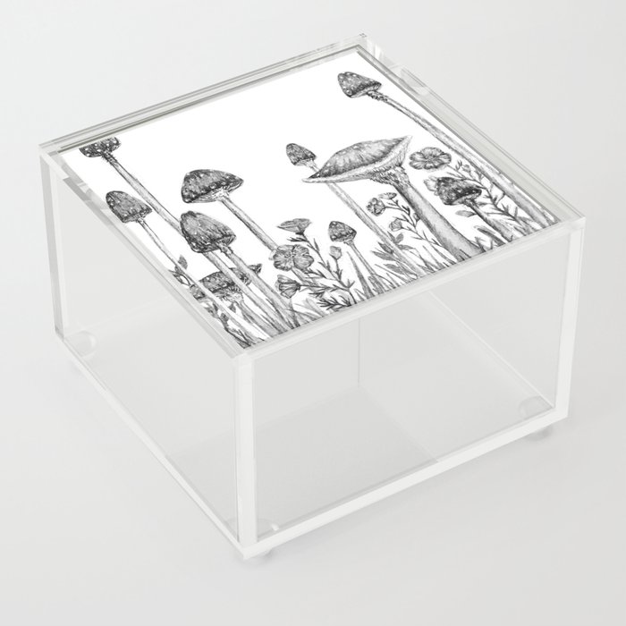 Mushrooms Acrylic Box