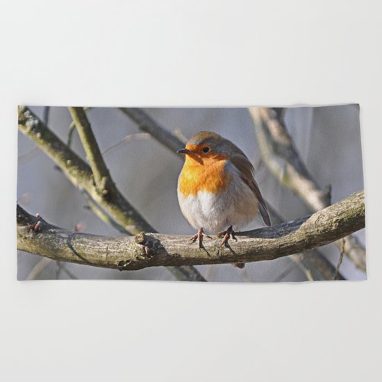 Robin Redbreast Beach Towel