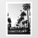 Tropical Palm Print Art Print By Tamsin Lucie Society6