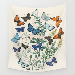 Vintage Scientific Illustration Butterfly Botanical Floral Lithograph Encyclopaedia Diagrams  Wall Tapestry
