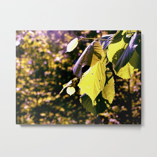 Let The Sun Shine Metal Print