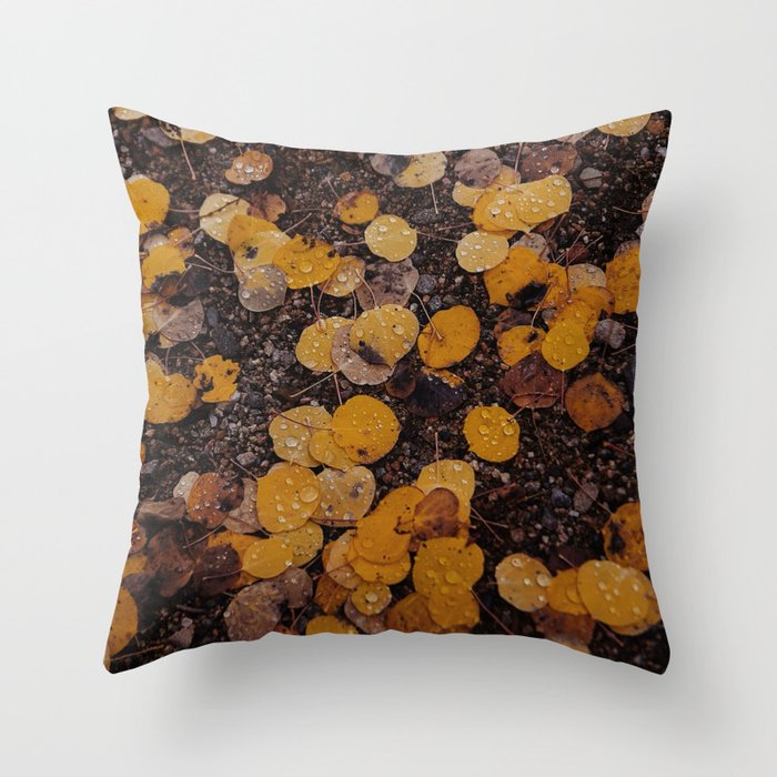 Throw Pillow