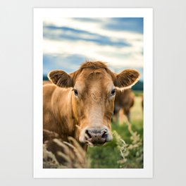 Summer in the Country with the Cows Art Print