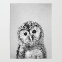 Baby Owl - Black & White Poster