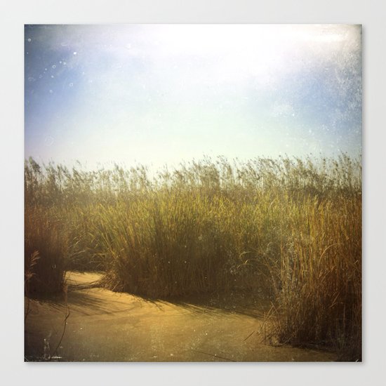 Little Swamp Canvas Print