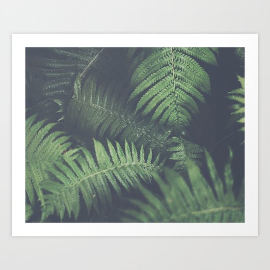 fern Art Print
