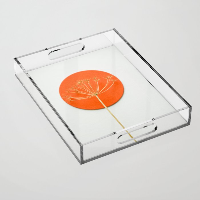 Orange circle and dried flower Acrylic Tray