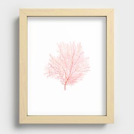 Coral Sea Fan Recessed Framed Print