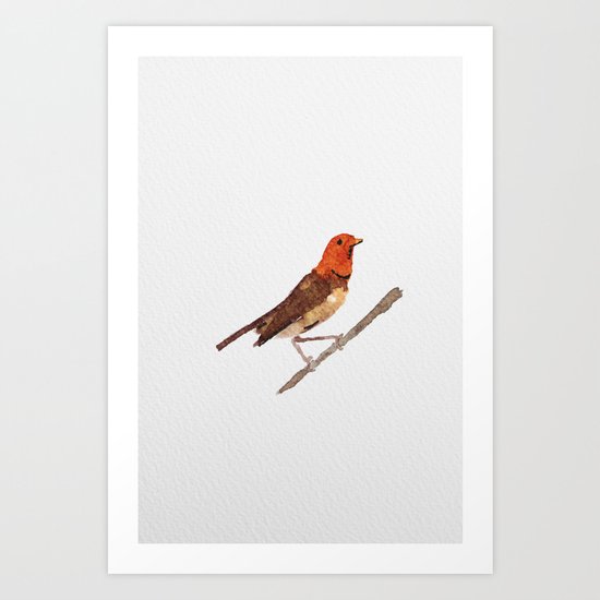 Messenger 006 Art Print