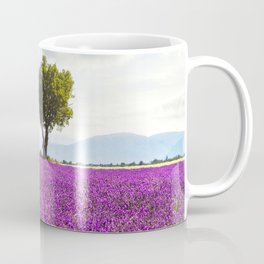 Lavender flower field and lonely tree. Provence, France Mug