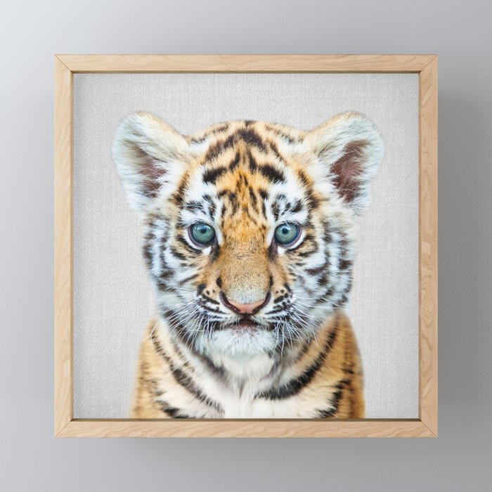 Baby Tiger - Colorful Framed Mini Art Print