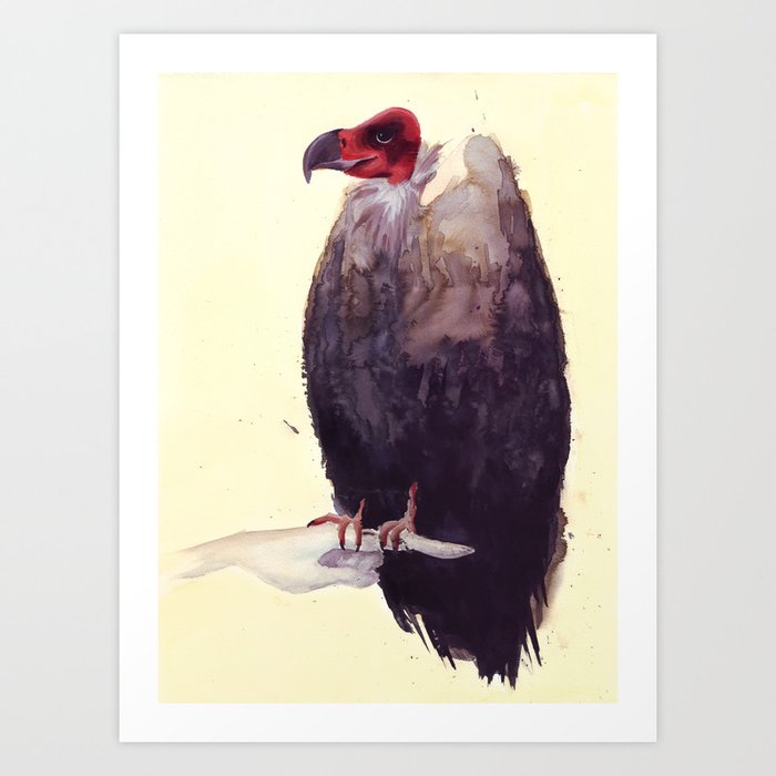 Vulture Art Print