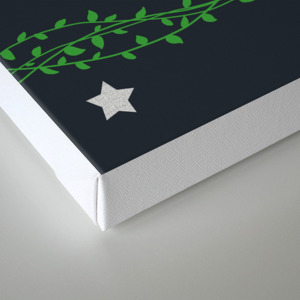 An Aro Ace Agender Selection Box Canvas Print By Fellenleaf Society6 An Aro Ace Agender Selection Box Canvas Print By Fellenleaf Society6
