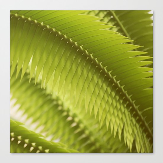 Lemon Grass Canvas Print