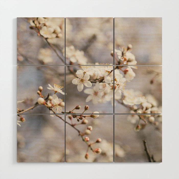 floral composition no. 4 Wood Wall Art