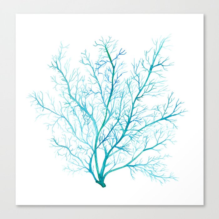 Blue sea fan coral Canvas Print