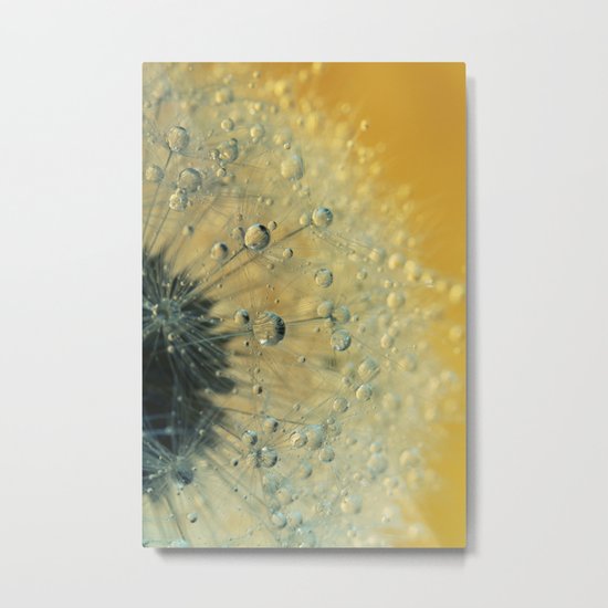 Half O'Clock Metal Print