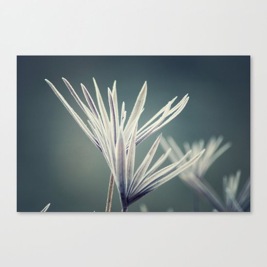 WINTER Canvas Print