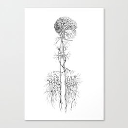 Botanical Brains Canvas Print
