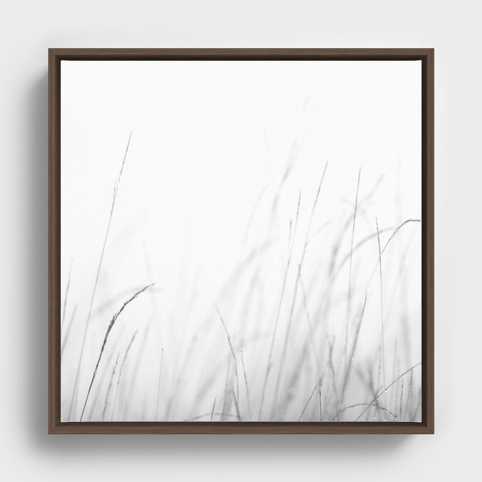 Grass Framed Canvas