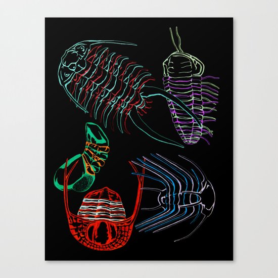 Ordovician Era Trilobites 2 Canvas Print